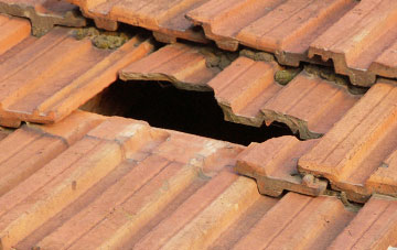 roof repair Winnothdale, Staffordshire